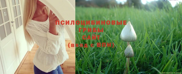 бутик Зеленокумск