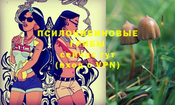 винт Зерноград
