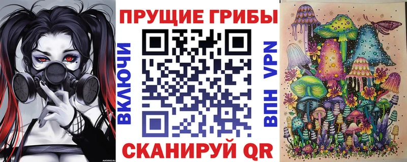 Галлюциногенные грибы Psilocybine cubensis  Купить  Лиски 